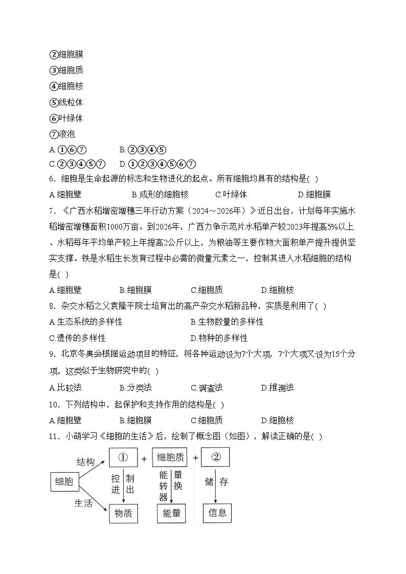 河南省驻马店市确山县部分中学2024-2025学年七年级上学期10月月考生物试卷(含答案)第2页