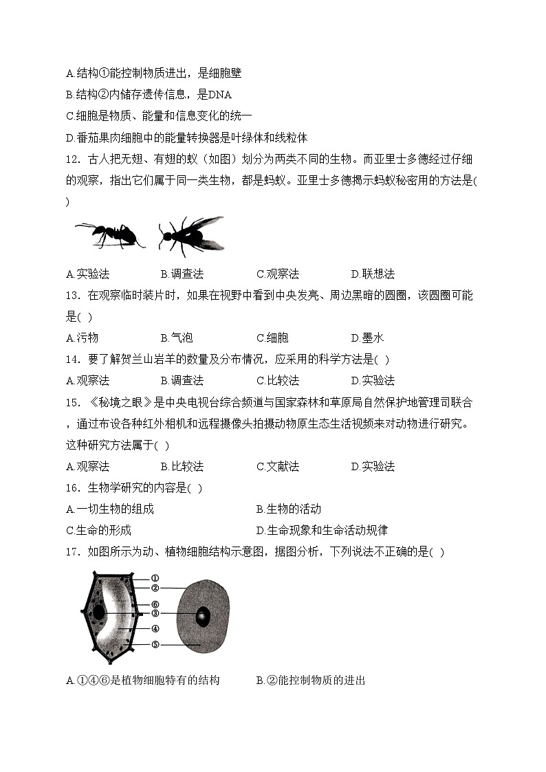 河南省驻马店市确山县部分中学2024-2025学年七年级上学期10月月考生物试卷(含答案)第3页