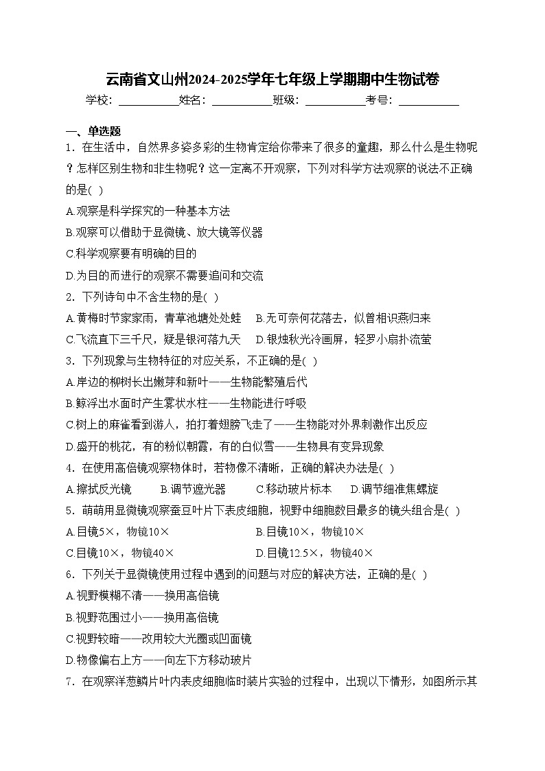 云南省文山州2024-2025学年七年级上学期期中生物试卷(含答案)第1页