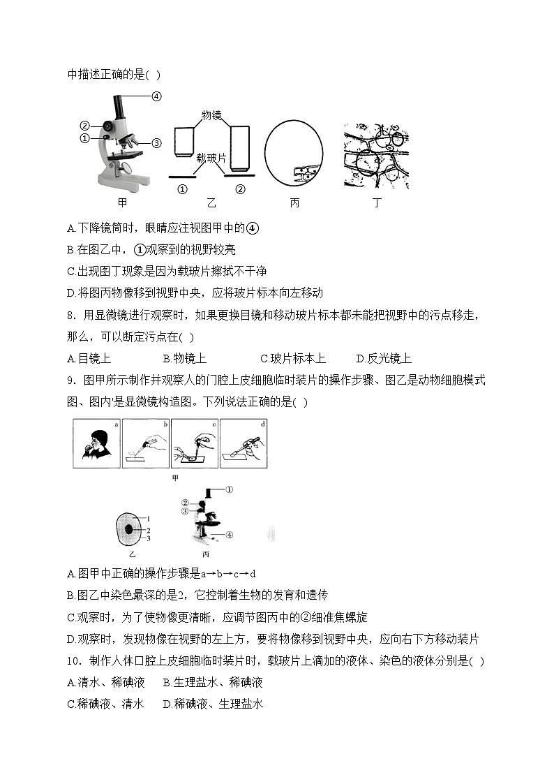 云南省文山州2024-2025学年七年级上学期期中生物试卷(含答案)第2页