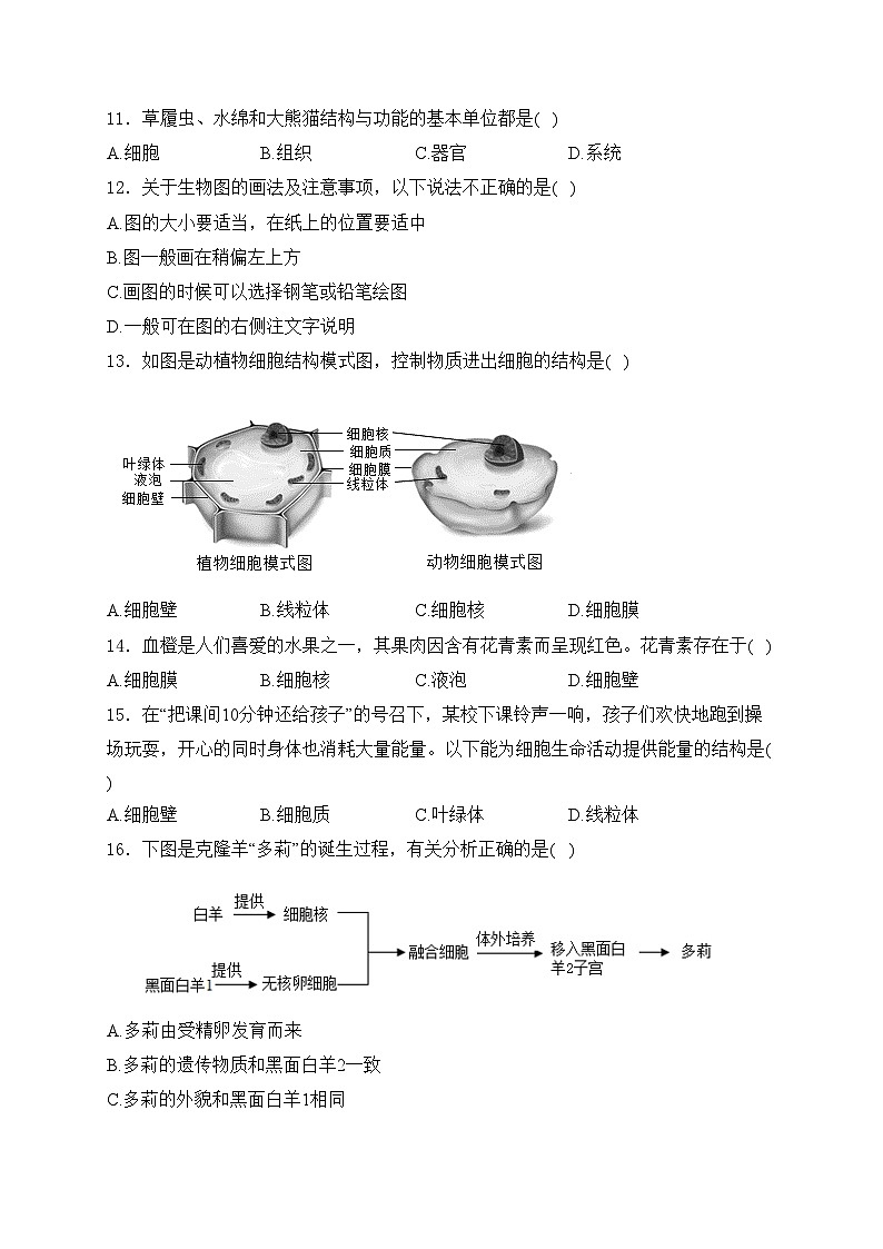 云南省文山州2024-2025学年七年级上学期期中生物试卷(含答案)第3页