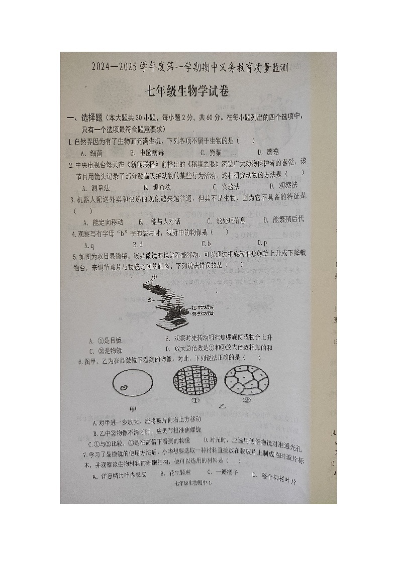 广东省恩平市2024-2025学年七年级上学期期中考试生物试题01