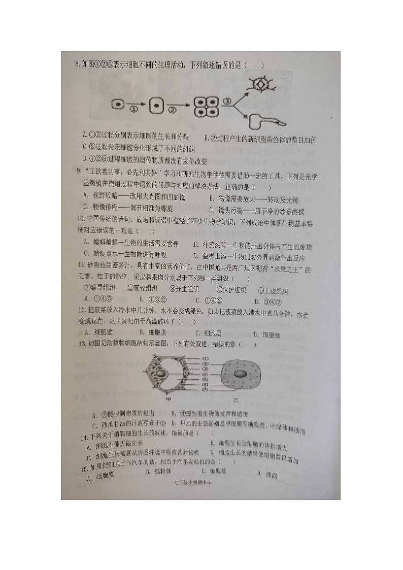 广东省恩平市2024-2025学年七年级上学期期中考试生物试题02