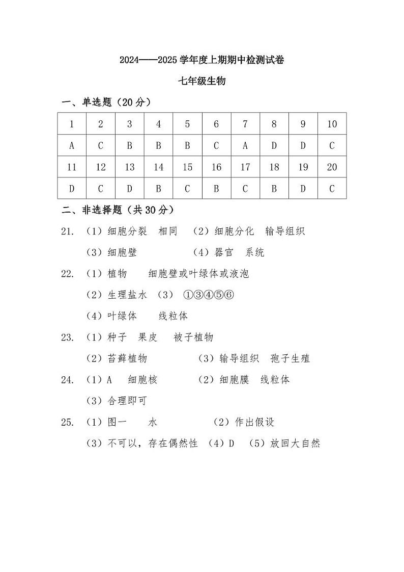 2024-2025上学期七年级生物期中考试参考答案第1页