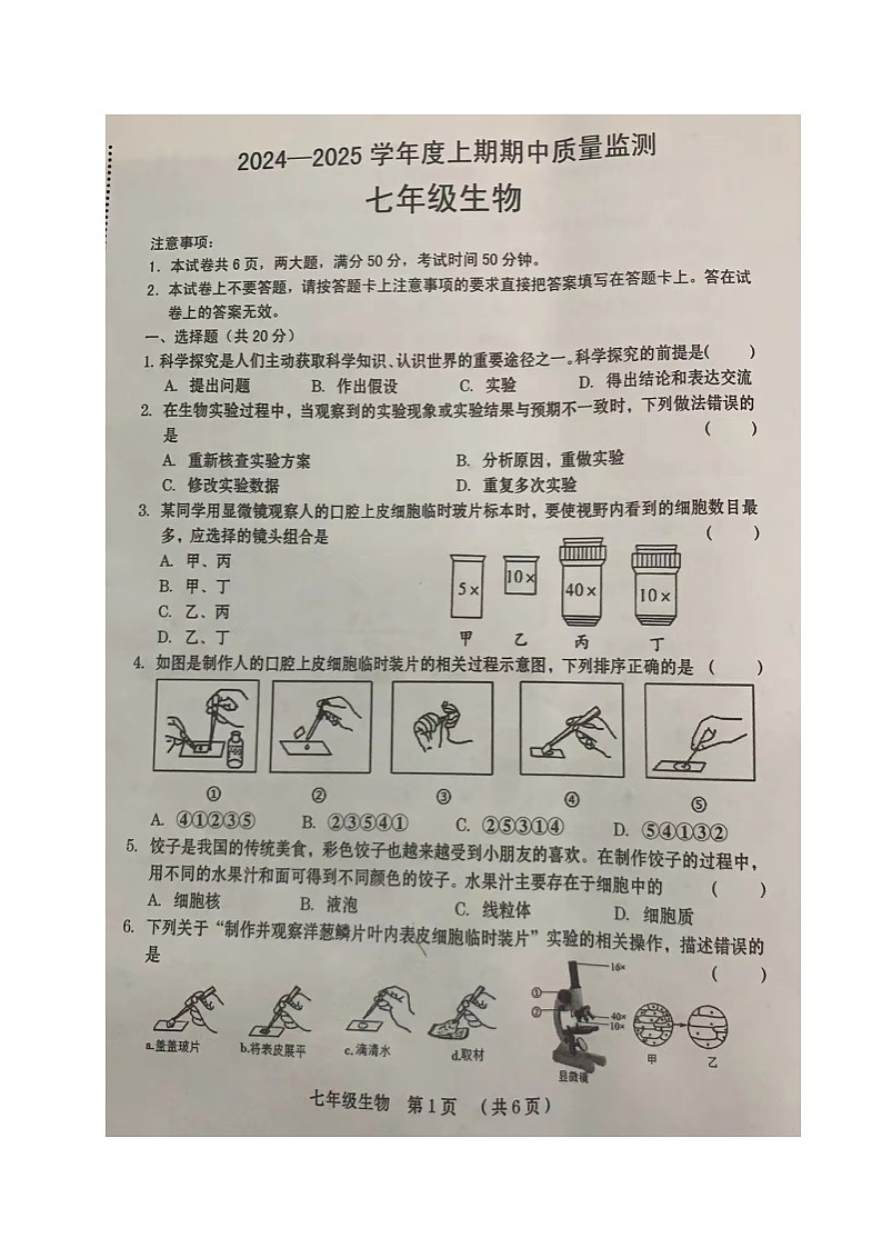 河南省周口市川汇区2024-2025学年七年级上期期中质量监测生物试题第1页