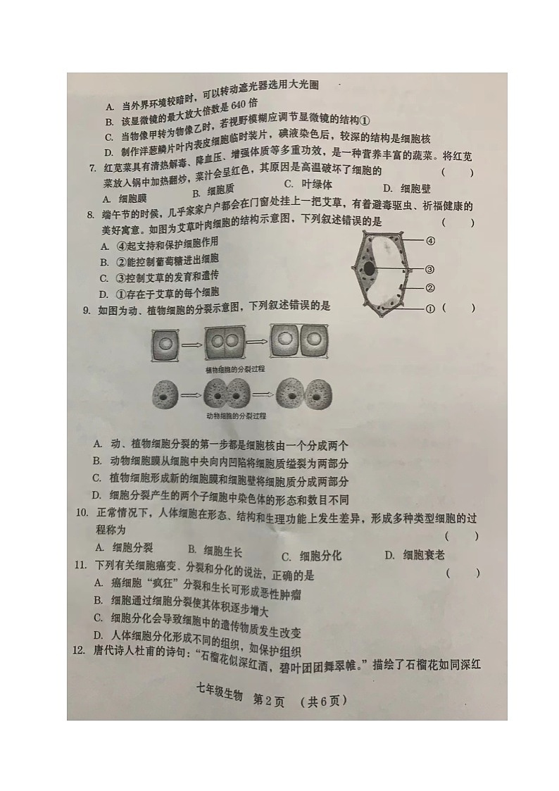 河南省周口市川汇区2024-2025学年七年级上期期中质量监测生物试题第2页