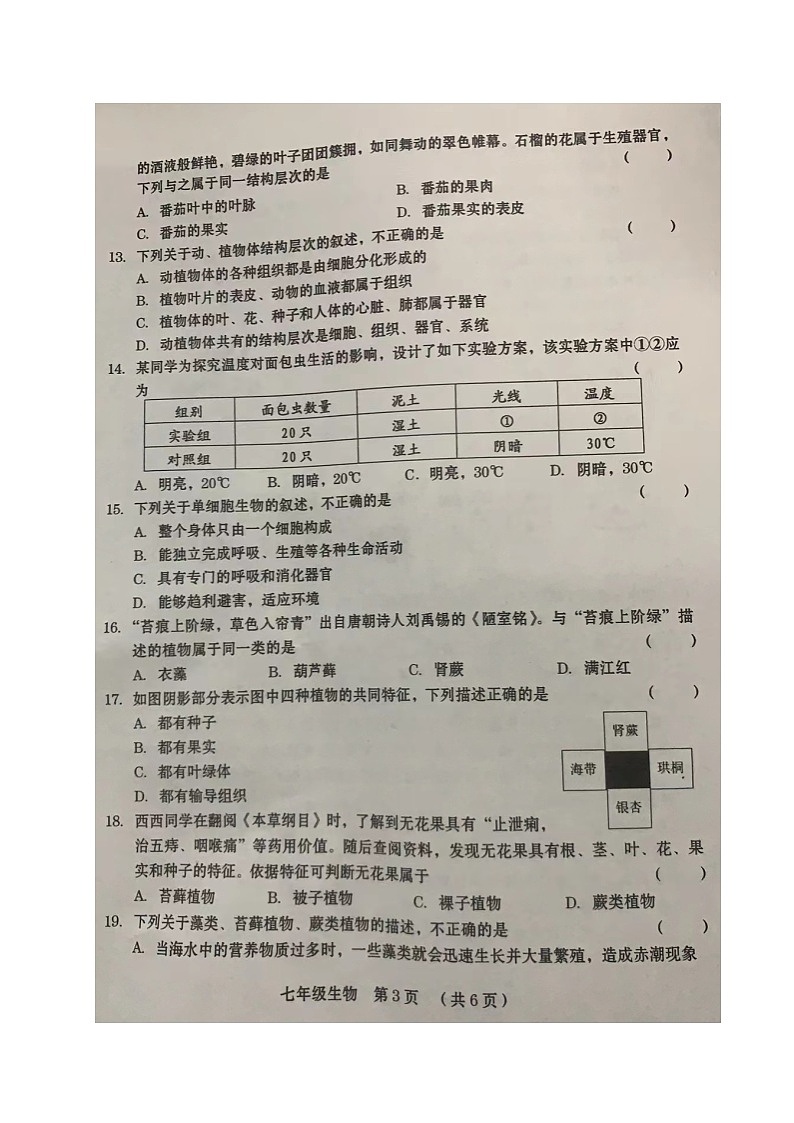 河南省周口市川汇区2024-2025学年七年级上期期中质量监测生物试题第3页