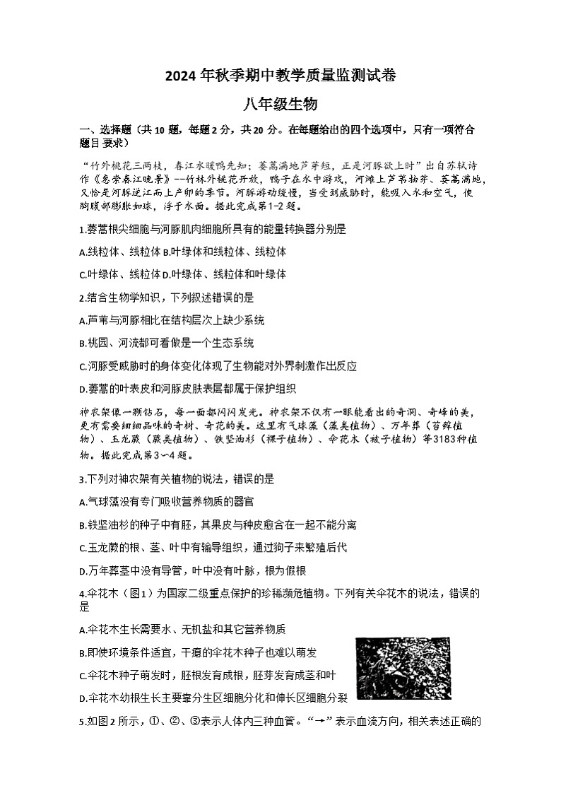 湖北省咸宁市通城县2024-2025学年八年级上学期11月期中考试生物试题01