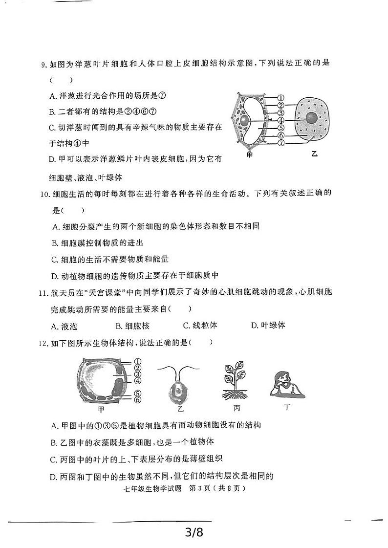 山东省济宁市经开区2024-2025学年七年级上学期期中教学质量检测生物试题第3页
