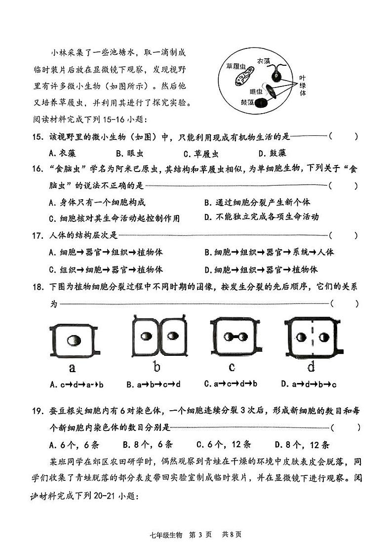 广东省东莞市长安镇2024-2025学年七年级上学期期中检测生物试卷第3页