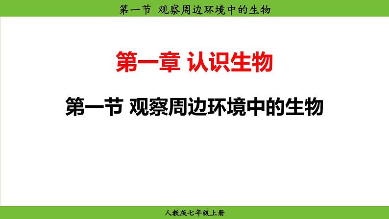 1.1 .1 观察周边环境中的生物（课件）-2024--2025学年人教版生物七年级上册第1页