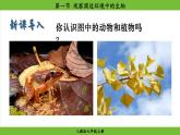 1.1 .1 观察周边环境中的生物（课件）-2024--2025学年人教版生物七年级上册