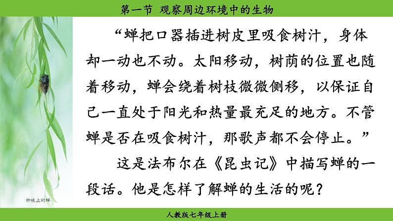 1.1 .1 观察周边环境中的生物（课件）-2024--2025学年人教版生物七年级上册第6页