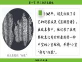 1.2.1 学习使用显微镜（课件）-2024--2025学年人教版生物七年级上册