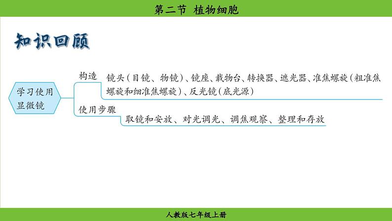 1.2.2 植物细胞（课件）-2024--2025学年人教版生物七年级上册01