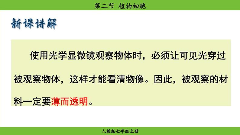 1.2.2 植物细胞（课件）-2024--2025学年人教版生物七年级上册07