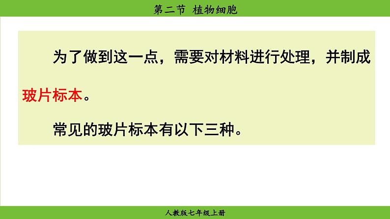 1.2.2 植物细胞（课件）-2024--2025学年人教版生物七年级上册08