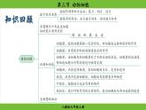 1.2.3 动物细胞（课件）-2024--2025学年人教版生物七年级上册