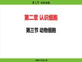 1.2.3 动物细胞（课件）-2024--2025学年人教版生物七年级上册