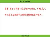 1.2.3 动物细胞（课件）-2024--2025学年人教版生物七年级上册