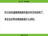 1.2.3 动物细胞（课件）-2024--2025学年人教版生物七年级上册