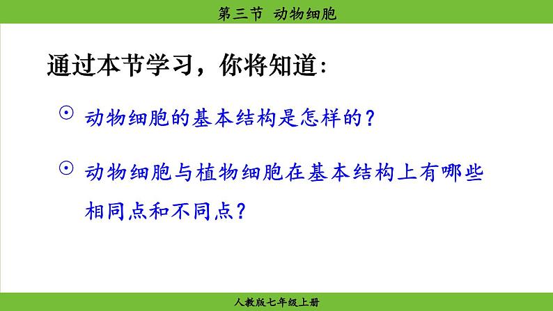 1.2.3 动物细胞（课件）-2024--2025学年人教版生物七年级上册06