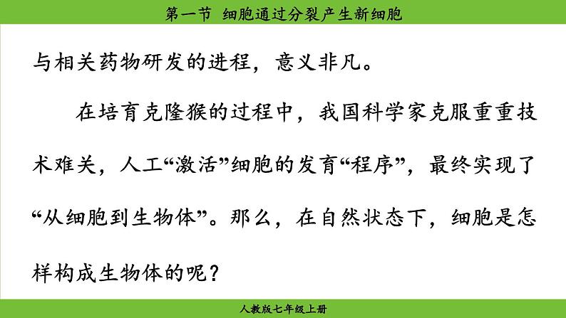 1.3.1 细胞通过分裂产生新细胞（课件）-2024--2025学年人教版生物七年级上册04