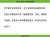 综合实践项目 制作细胞模型（课件）-2024--2025学年人教版生物七年级上册