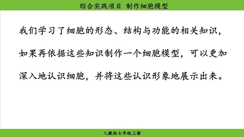 综合实践项目 制作细胞模型第4页