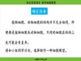 综合实践项目 制作细胞模型（课件）-2024--2025学年人教版生物七年级上册