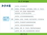 2.1.2 种子植物（课件）-2024--2025学年人教版生物七年级上册