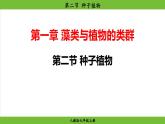 2.1.2 种子植物（课件）-2024--2025学年人教版生物七年级上册