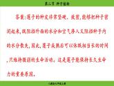 2.1.2 种子植物（课件）-2024--2025学年人教版生物七年级上册