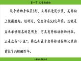 2.2.1 无脊椎动物（课件）-2024--2025学年人教版生物七年级上册