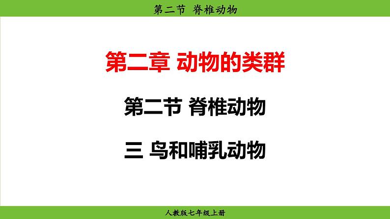 2.2.2 脊椎动物（课件）-2024--2025学年人教版生物七年级上册02