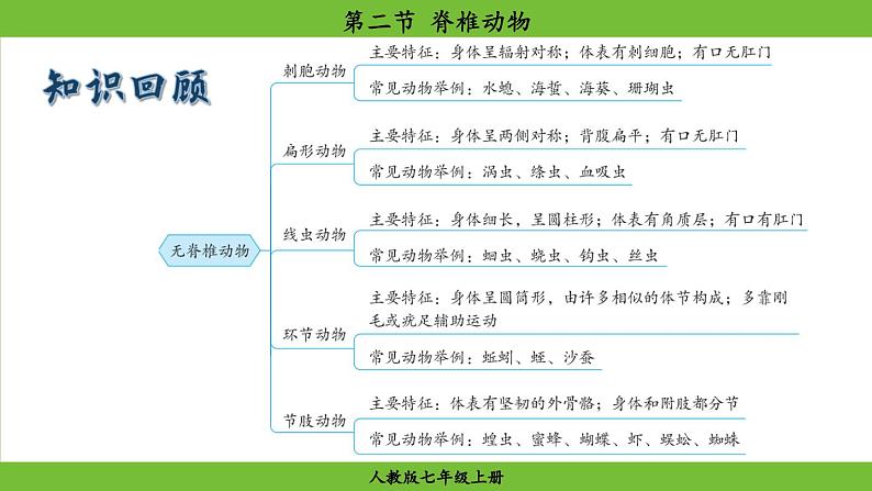 2.2.2 脊椎动物（课件）-2024--2025学年人教版生物七年级上册01