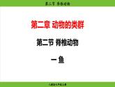 2.2.2 脊椎动物（课件）-2024--2025学年人教版生物七年级上册