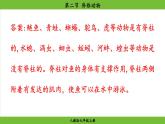2.2.2 脊椎动物（课件）-2024--2025学年人教版生物七年级上册