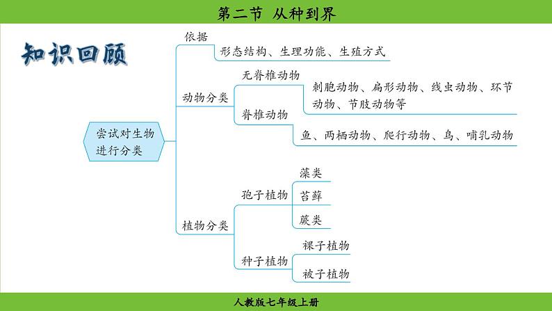 第二节 从种到界第1页