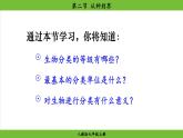 2.4.2 从种到界（课件）-2024--2025学年人教版生物七年级上册