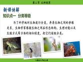 2.4.2 从种到界（课件）-2024--2025学年人教版生物七年级上册