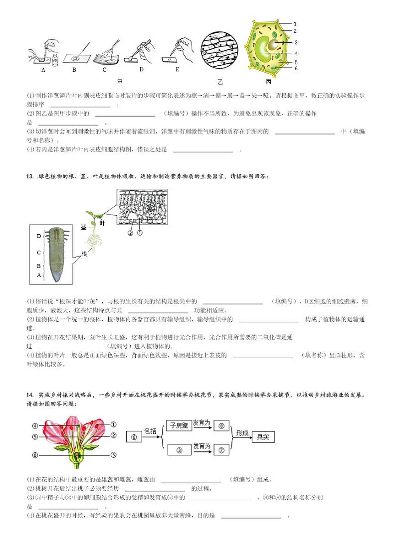 2023～2024学年湖北恩施土家族苗族自治州恩施市初一(上)期末生物试卷[原题+解析]第3页