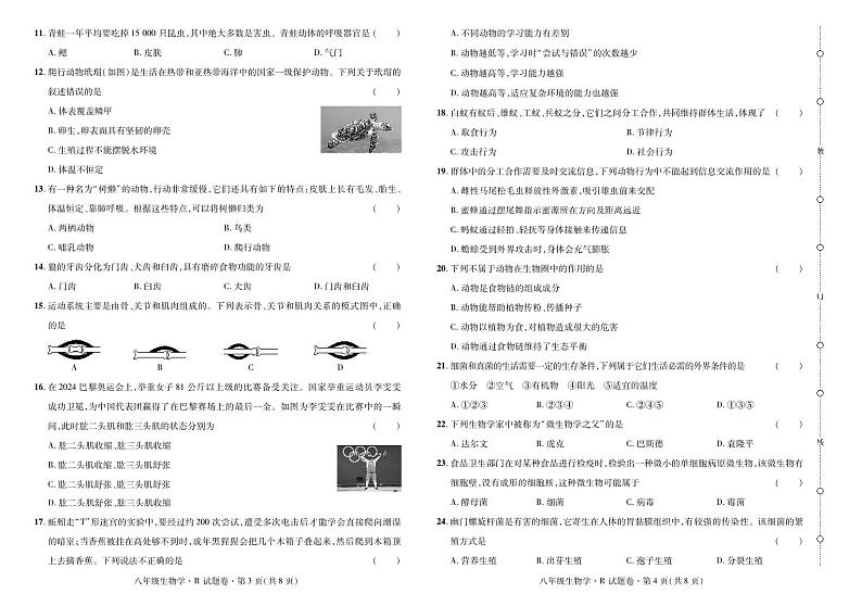 2024——2025学年上学期云南省曲靖市八年级生物期中考试卷第2页