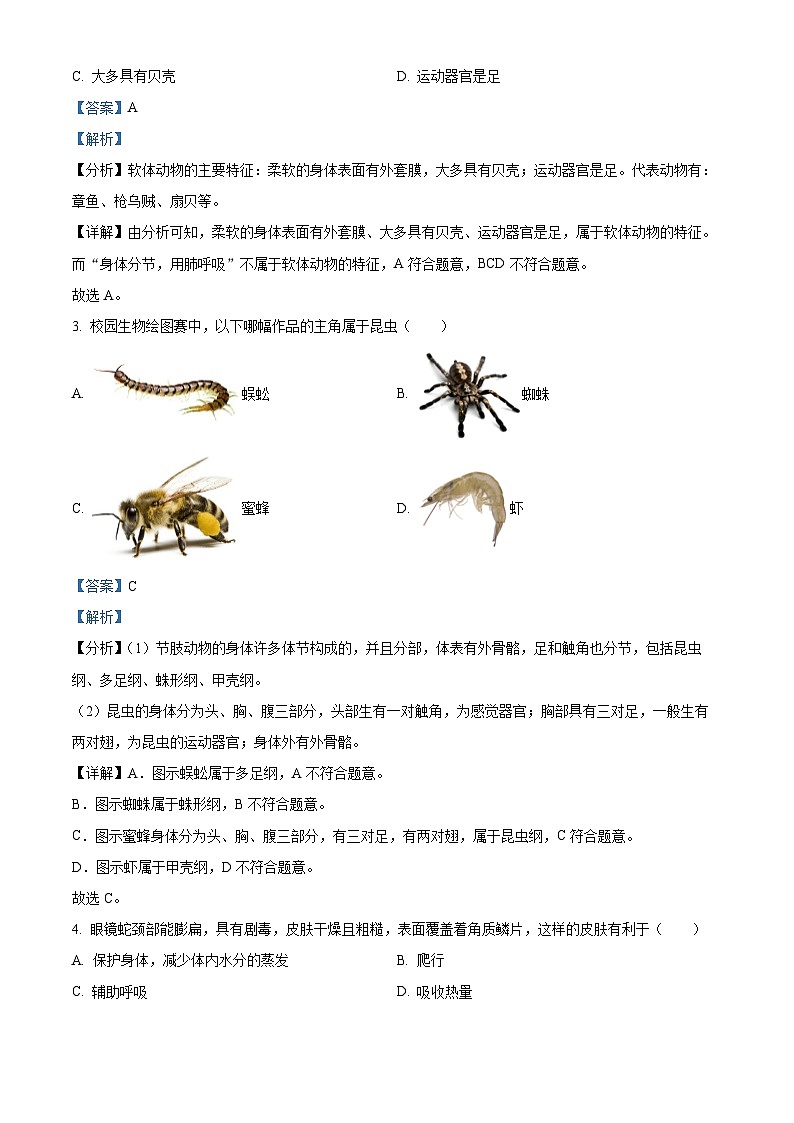云南省曲靖市宣威市第一中学2024-2025学年八年级上学期期中生物学试题（解析版）第2页