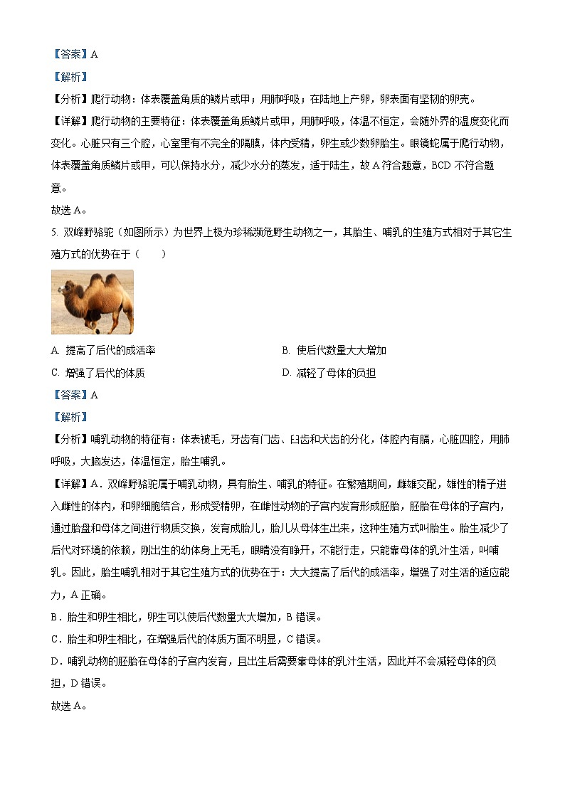 云南省曲靖市宣威市第一中学2024-2025学年八年级上学期期中生物学试题（解析版）第3页