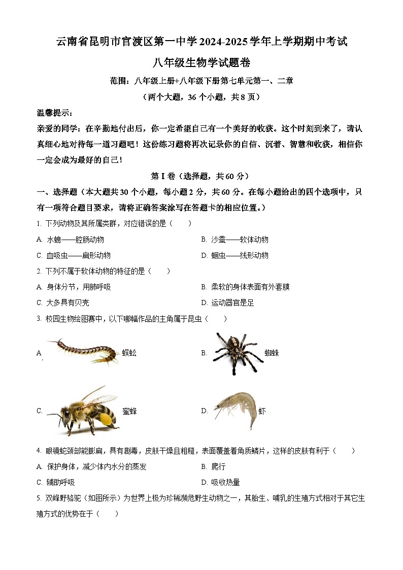 云南省曲靖市宣威市第一中学2024-2025学年八年级上学期期中生物学试题（原卷版）第1页