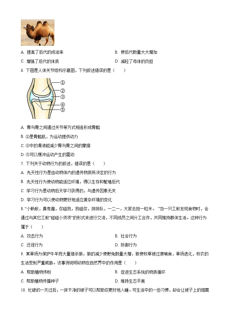 云南省曲靖市宣威市第一中学2024-2025学年八年级上学期期中生物学试题（原卷版）第2页