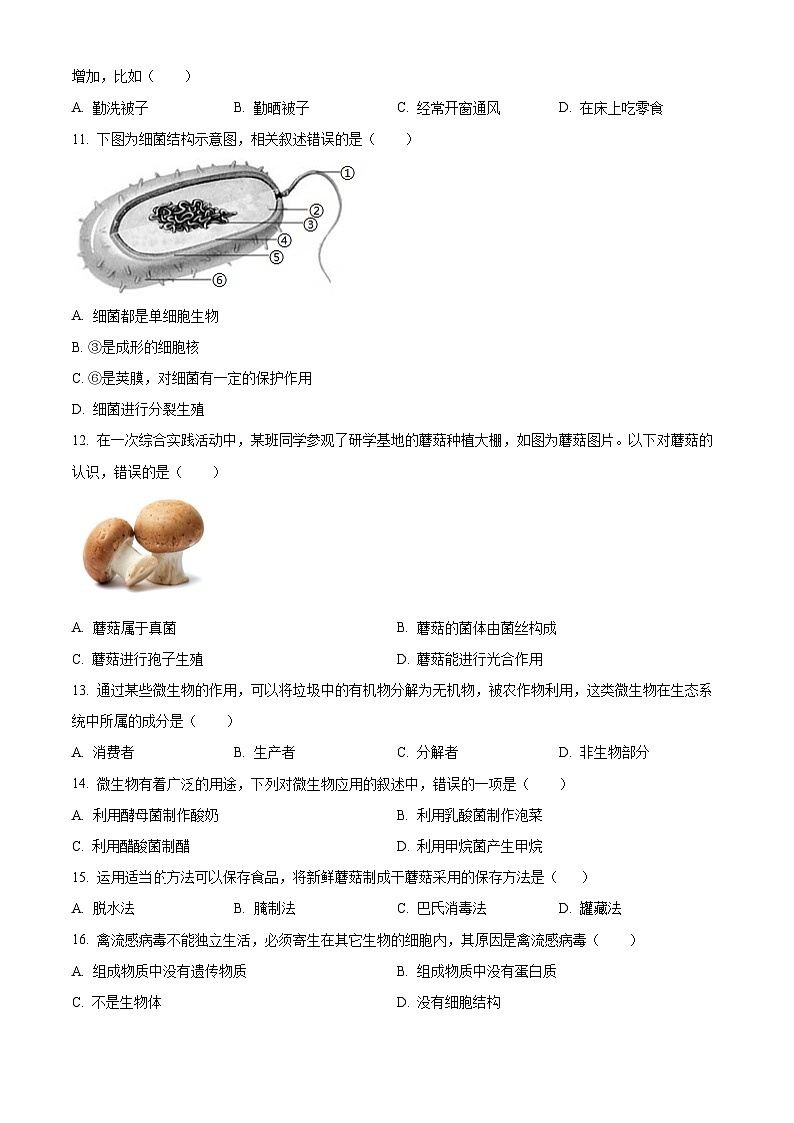 云南省曲靖市宣威市第一中学2024-2025学年八年级上学期期中生物学试题（原卷版）第3页