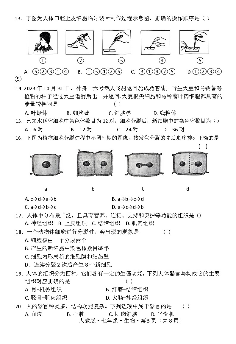 云南省昆明市寻甸回族彝族自治县第一中学2024-2025学年七年级上学期11月期中生物试题03