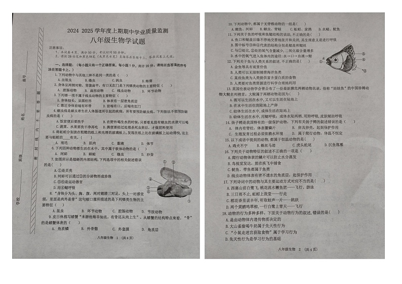 河南省漯河市临颍县2024-2025学年八年级上学期11月期中生物试题第1页